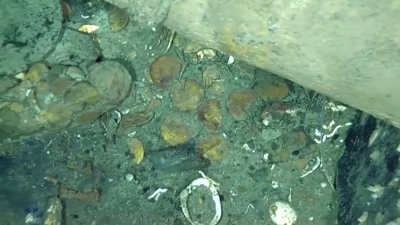 Hallazgo histórico a 900 metros bajo el mar