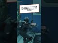 Level 92 Starfield player finds Legendary gun worth 136ks, but they "don't even want to use it"