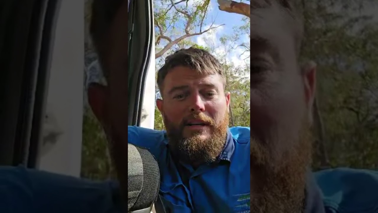 1770 Sunset Cruises - New tourism business