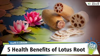 5 Health Benefits of Lotus Root (Kamal Kakdi)