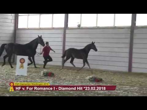 KN 39: HF von For Romance I / Diamond Hit