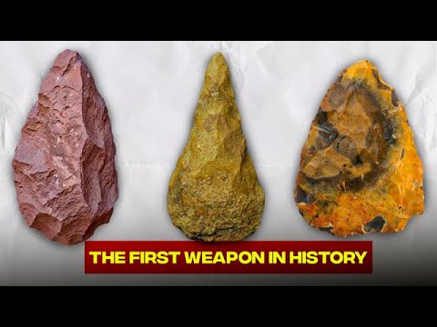 The Tool That Made Us Human