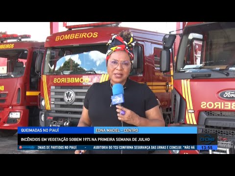 Incêndios em vegetação sobem 197% na primeira semana de Julho 14 07 2022