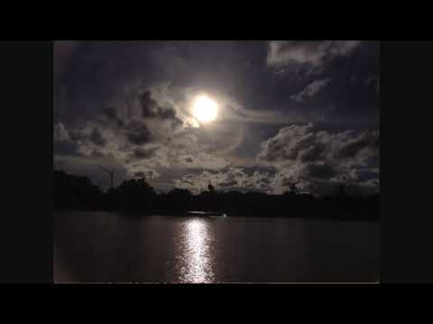 First they killed my father sound track " Ber Bong min meta " by Mao Sareth. Check Description!!!