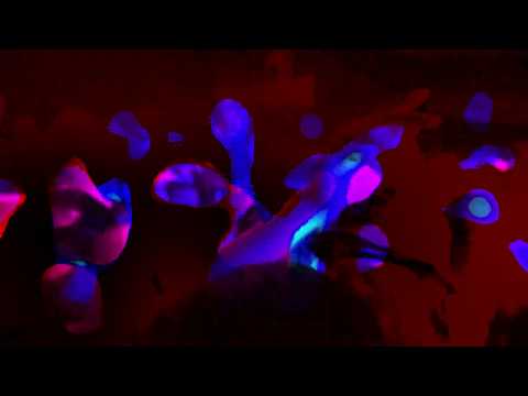 Lux Flux - Pondering Across the Pond