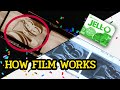 How 35mm Film Works