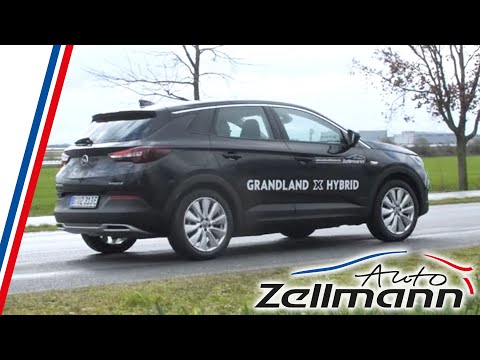 Plug-In Hybrid im Test: Opel Grandland X Hybrid4 | auto-zellmann.de