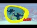 Delfy Solo En Canal SupereÑe