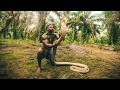 Catching The Worlds Largest King Cobra In Indonesia