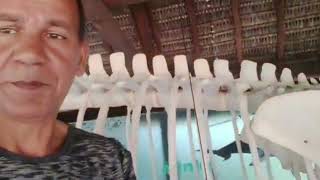 Sesc Bertioga Restaurant A Great Restaurant