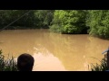 AMAZON WOOD FISHERY POLEGATE EAST SUSSEX