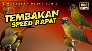Download lagu 🔴 LIVE Masteran Pleci Tembakan Speed Rapat Mewah Untuk Lomba mp3 Download lagu 🔴 LIVE Masteran Pleci Tembakan Speed Rapat Mewah Untuk Lomba mp3