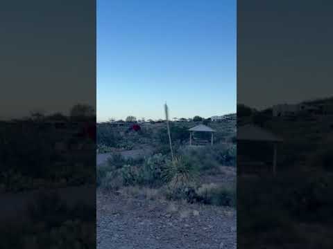 view from day use area