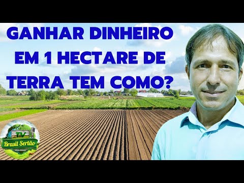 , title : 'GANHAR DINHEIRO EM 1 HECTARES DE TERRA TEM COMO? #dicas'