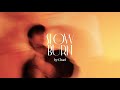 Chael - Slow Burn (Lyric Visualizer)