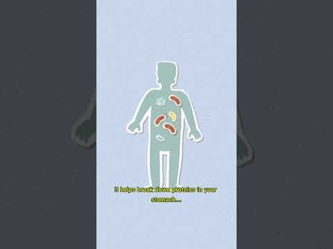 This Fruit Literally Helps You Poop 💩