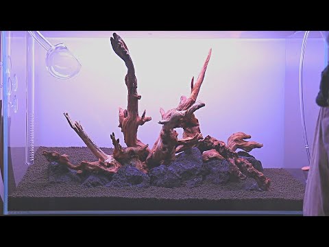 Aquascape Setup | Waterbox Clear 16