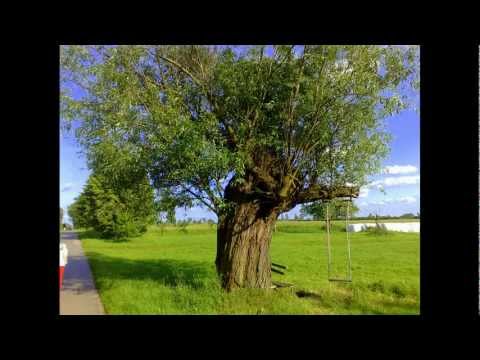 TAM  GDZIE  SĄ  ŁĄKI  ZIELONE.