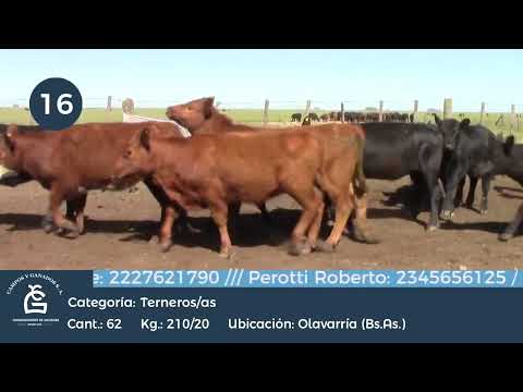 Lote M Y H - Olavarría Bs As