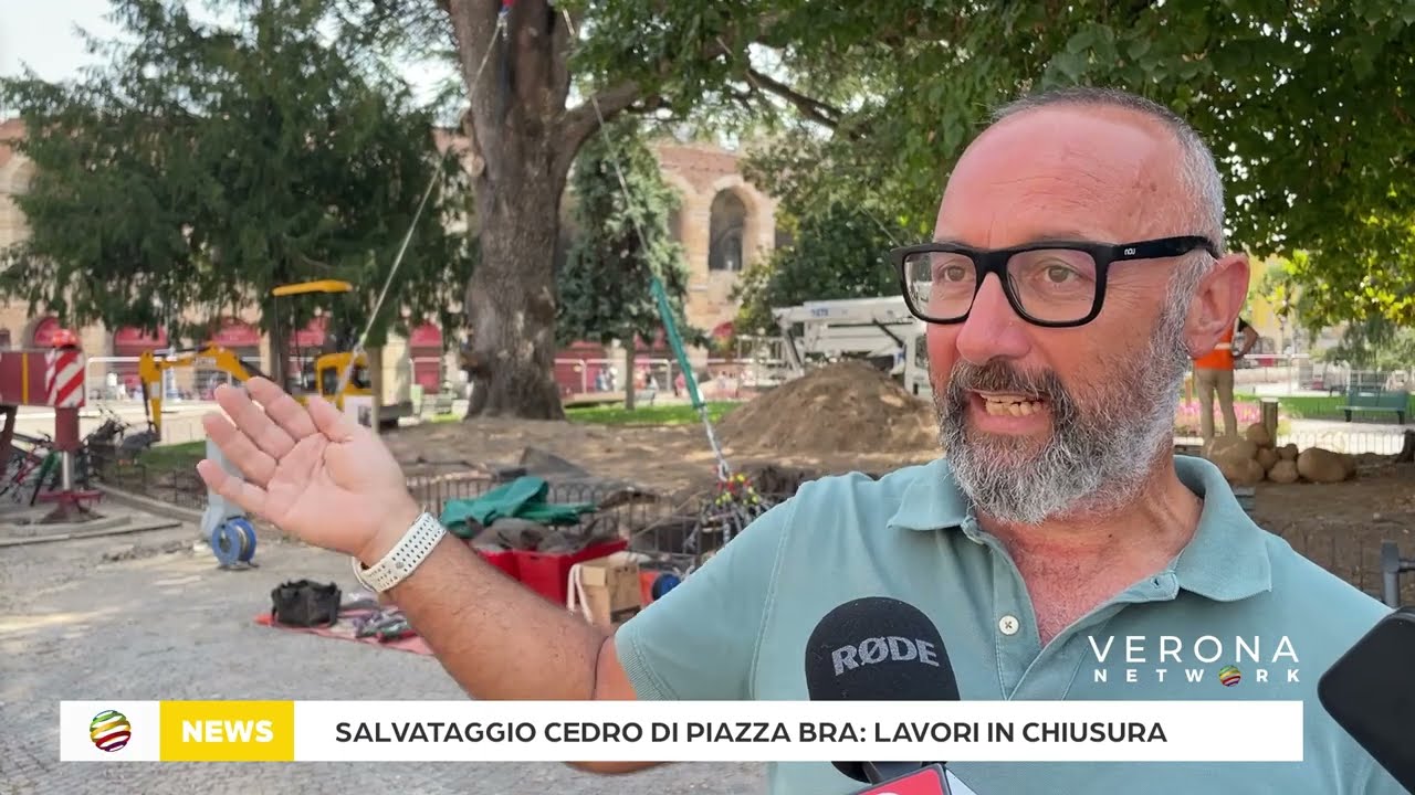 Descrizione dell'immagine