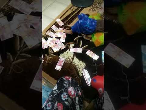 lagi viral anak kecil bertabur uang