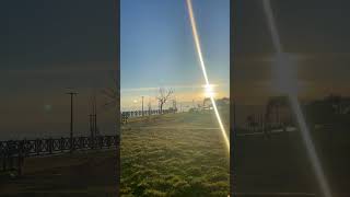 #subscribe #youtube #youtubeshorts #like #love #follow #callofduty #gameplay #health #gym #kids #art