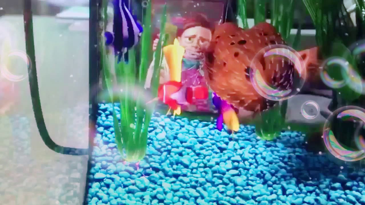 Finding Nemo Nemo meets Gil colorful