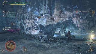 Monster Hunter Wilds_貫通弓