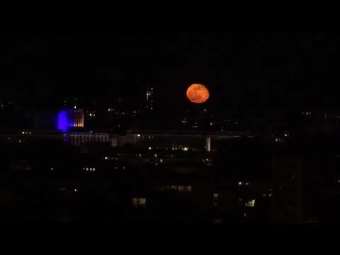 Purple Moon - bises de vue à Alan Stivell