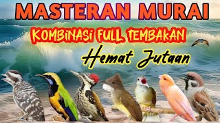Download lagu MASTERAN MURAI BATU TERBAIK FULL TEMBAKAN MATERI LENGKAP SESUAI SELERA JURI AGAR MURAI JUARA mp3