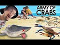 POOR Shark The CRAB Invasion FV Family Gets Green Goblin The Beach