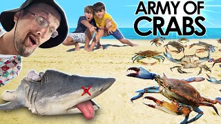 POOR Shark & the CRAB Invasion! (FV Family gets Green Goblin @ the Beach)