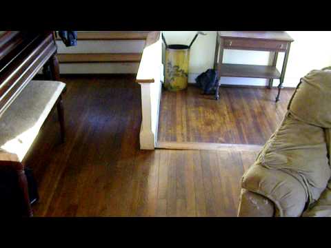 Sherpa's Tips at being on Q