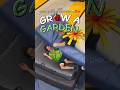 Every Update Grow A Garden Growagarden Roblox Shorts Fyp