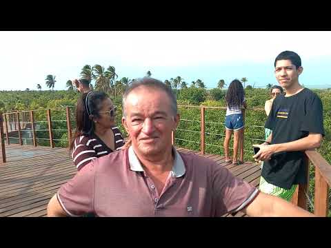 CAJUEIRO REI. O MAIOR DO MUNDO ESTA NO LITORAL DO PIAUÍ.