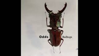 Odds  -  Jack Hammer