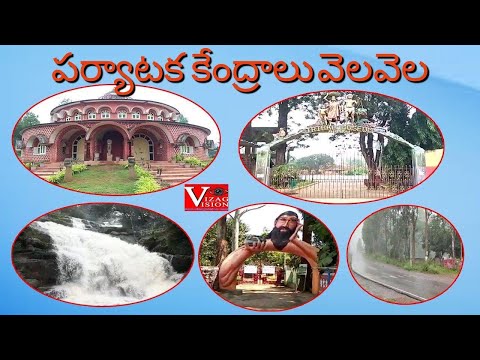 AP CM Jagan Disbursing YSR Cheyutha Financial Assistance at CM Camp Office ,LIVE Courtesy I&PR...