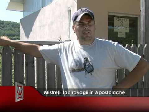 Mistretii fac ravagii în Apostolache