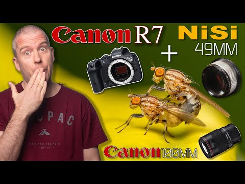 Canon R7 Macro with the EF 100mm f/2.8L & NiSi 49mm 9+ Diopter Close-up Lens