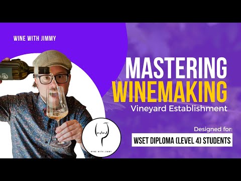 WSET Level 4 (WSET Diploma) Mastering Vineyard Establishment - Introduction and Terroir
