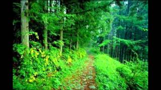 Anthony Phillips- Collections (Subtitulado español)