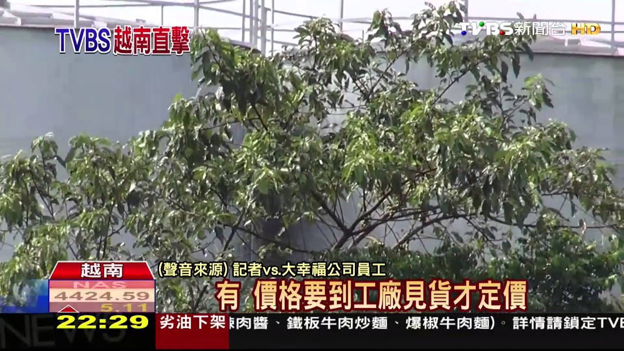 劣油風暴/獨家!大幸福呂氏幸脫口:任何油品都能收