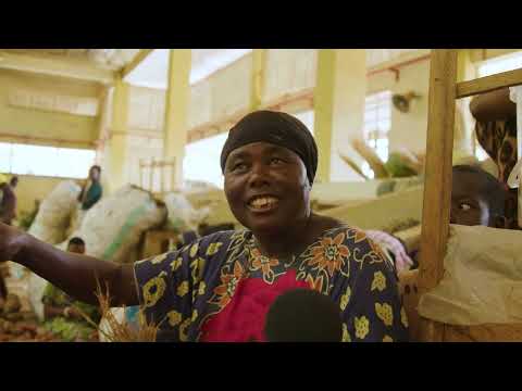 MUSEVENOMICS: KARAMOJA FARMER SUCCESS STORIES