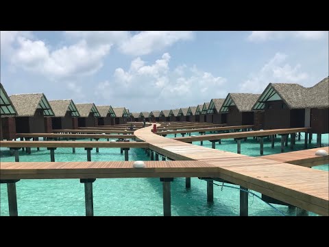 Videos del Heritance Aarah 5★ en Atolón Raa, MaldivasVer MásVerPrecios16CerrarConsulta por Whatsapp 🇦🇷BookingTripadvisorExpediaAgodaTravelocityOrbitzTripSkyscannerDespegarHotelesDestiniaTrivagoTurismocityLastminuteTuiWotif