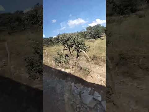 São Thomé das Letras #vejacomigo#fujadarotina#sóvem#vamosalicomali#mineirinha#carpediem#gratidão#fé