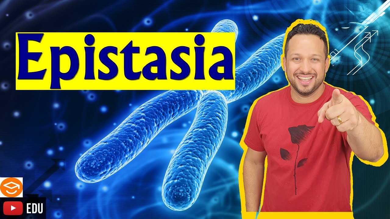 Epistasia - Conceito e Tipos - Epistasia Dominante e Epistasia Recessiva - Interação Gênica
