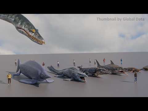 Ancient Marine reptiles Size comparison 3D | 3d Animation Size Comparison