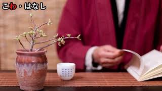 こわ・はなし＃１「古アパートの押し入れの扉」