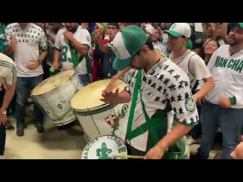 Torcida do verdão fez a festa na saída do jogo - Palmeiras 2 x 1 Juventude melhores momentos #vlog