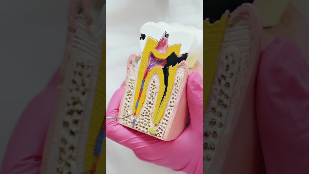 Alexandra Karolina Carre Aredo-11